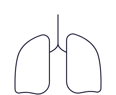 Lungs icon